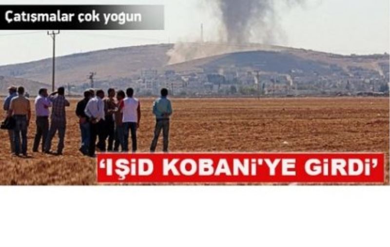 IŞİD Kobani