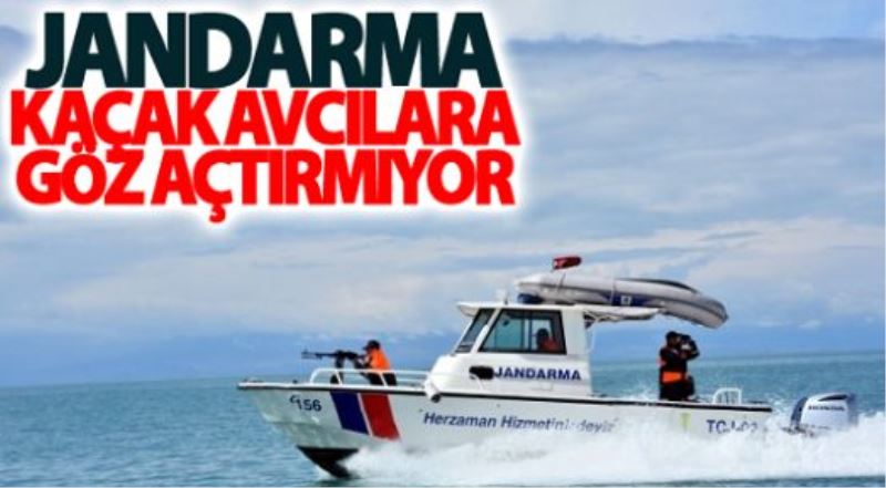 Jandarma kaçak avcılara göz açtırmıyor