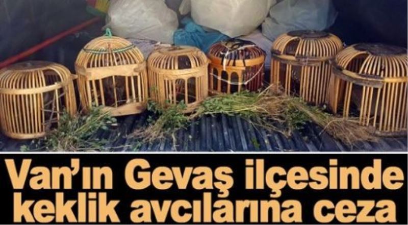 Kaçak keklik avlayan şahıslara ceza...