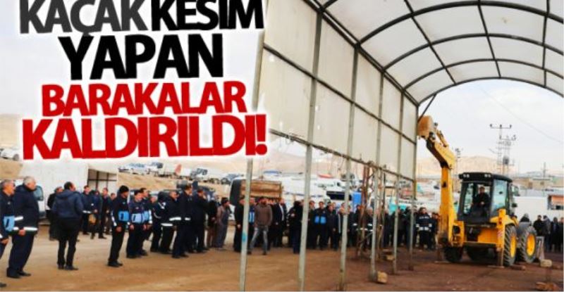 Kaçak kesim yapılan barakalar kaldırılıyor