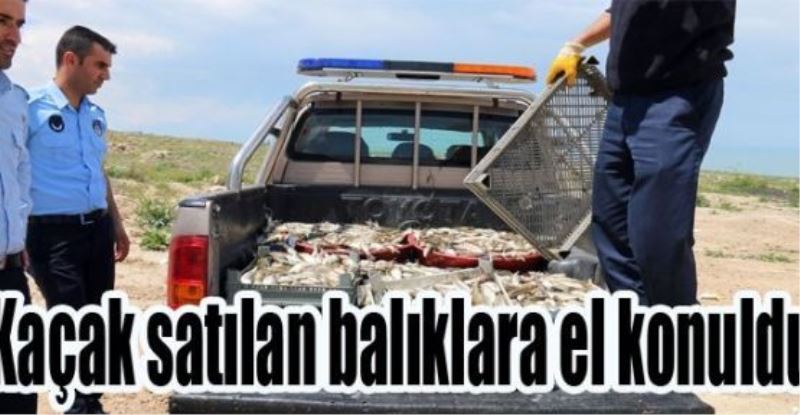 Kaçak satılan balıklara el konuldu