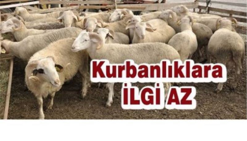 Kurbanlıklara ilgi az