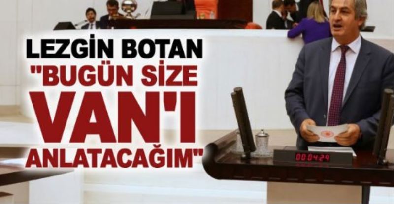 Lezgin Botan mecliste Van’ın sorunlarını anlattı