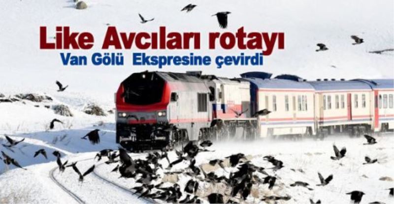 Like Avcıları rotayı Van Gölü Ekspresine çevirdi