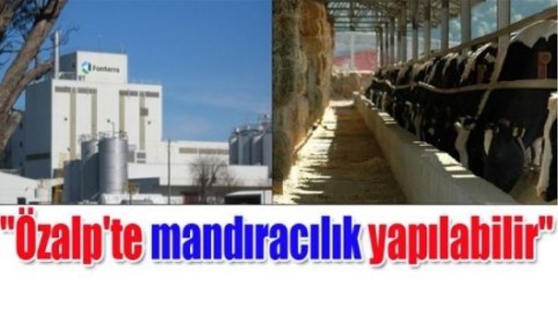 MANDIRA NEDİR?