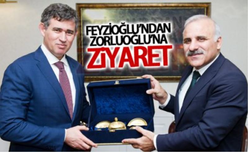 Metin Feyzioğlu’ndan Vali Zorluoğlu’na ziyaret 