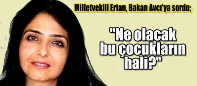 Milletvekili Ertan, Bakan Avcı