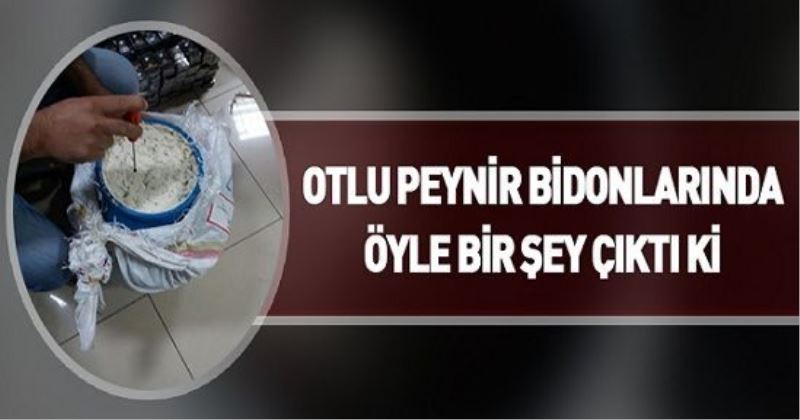 OTLU PEYNİR BİDONLARINDA ÖYLE BİR ŞEY ÇIKTI Kİ