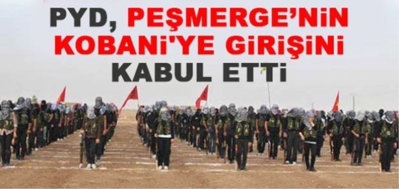 Peşmerge Güçlerinin Kobani