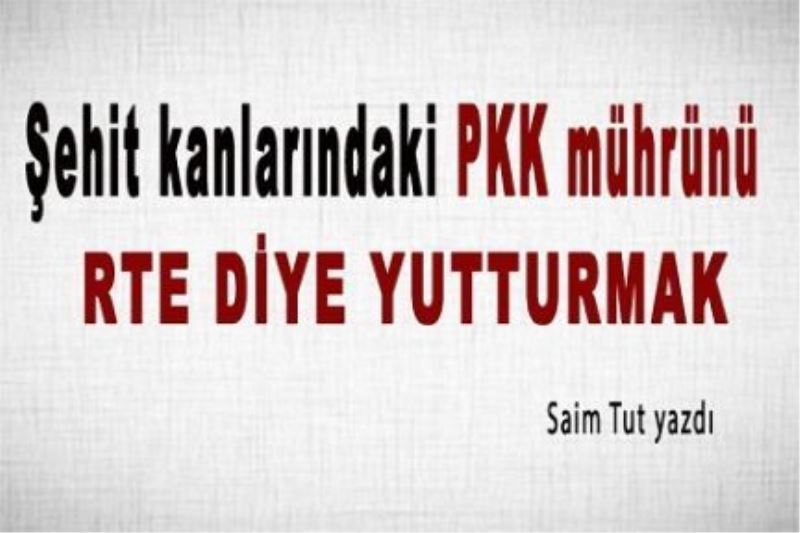 Şehit kanlarındaki PKK mührünü, RTE diye yutturmak…