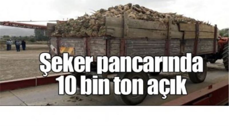 Şeker pancarında 10 bin ton açık