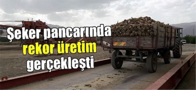 Şeker pancarında rekor üretim gerçekleşti