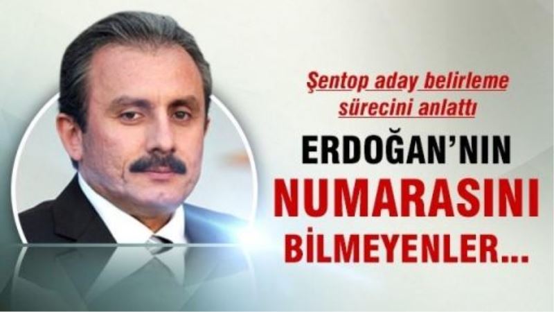 Şentop: Erdoğan
