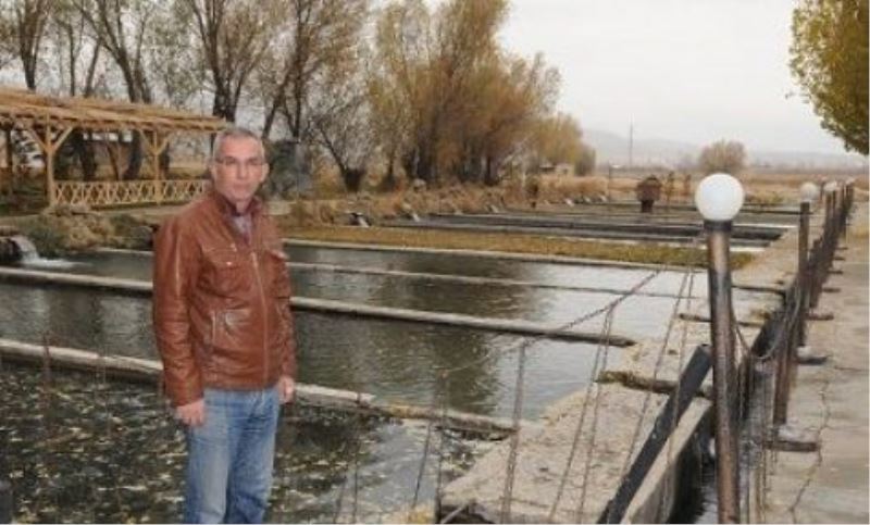 Şifa Alabalık Tesisleri