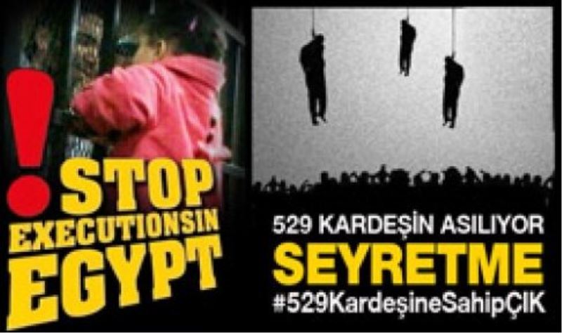 Sosyal medya ayakta: Seyretme! #529KardeşineSahipÇIK