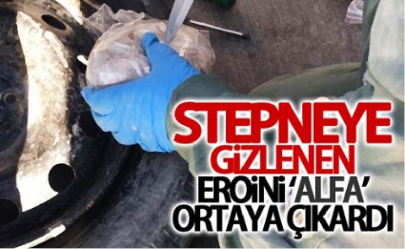 Stepneye gizlenen eroini ‘Alfa’ ortaya çıkardı 