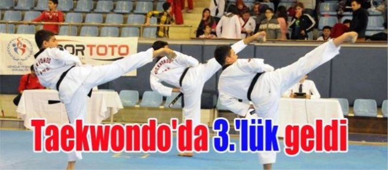 Taekwondo