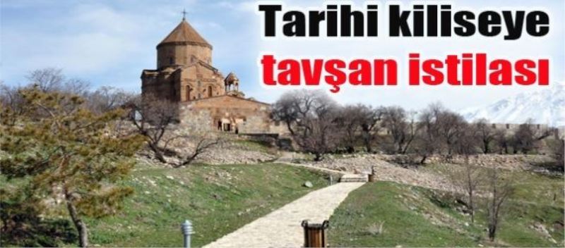 Tarihi kiliseye tavşan istilası