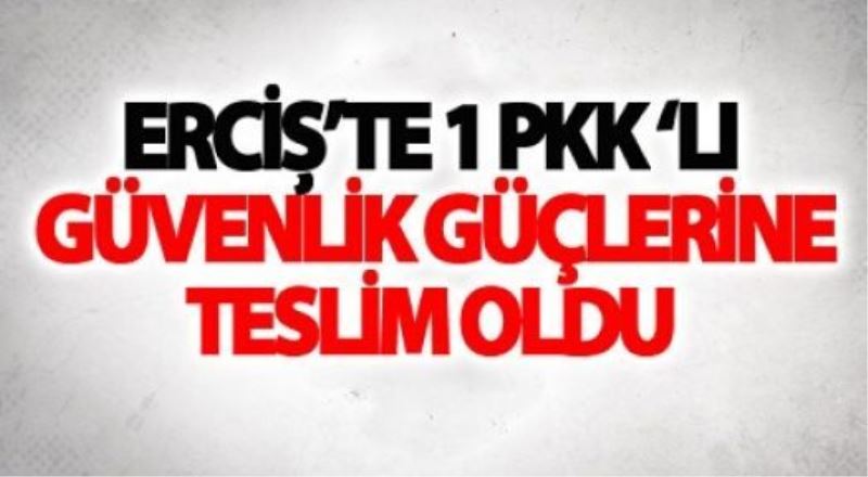 Teslim olan PKK