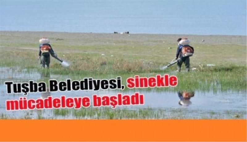 Tüm belediyelere örnek 