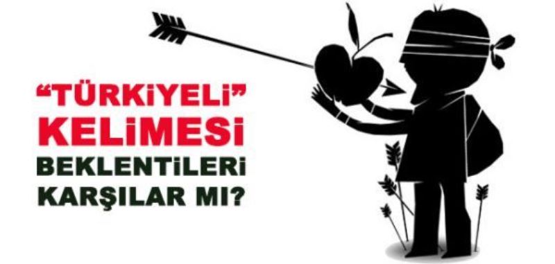 Türk, Türkiyeli... 