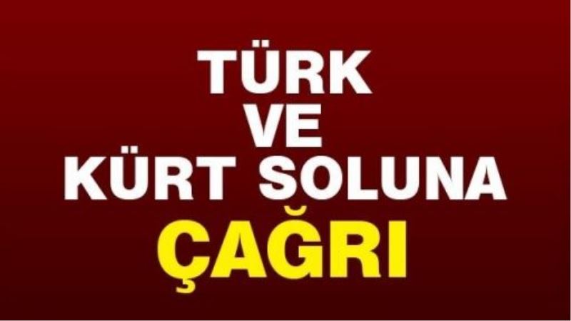 Türk ve Kürt Solu