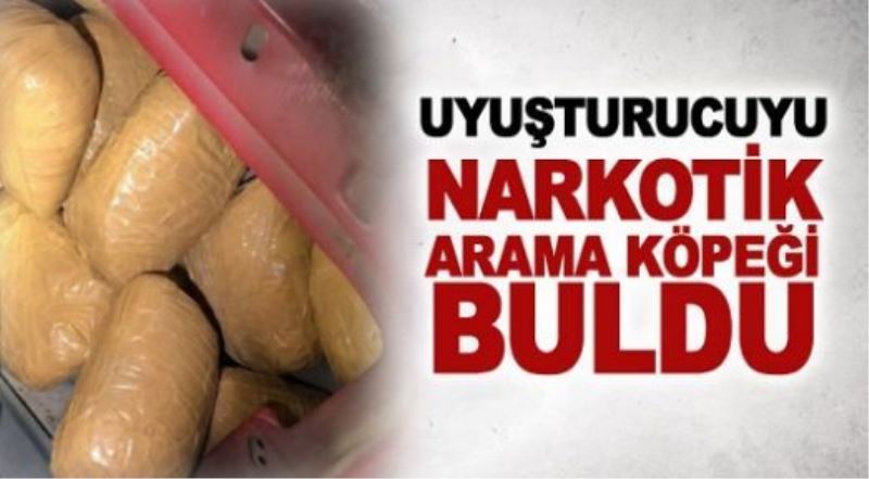 Uyuşturucuyu, narkotik arama köpeği buldu