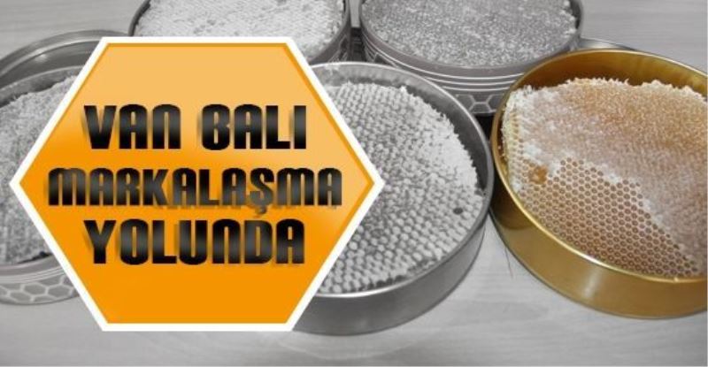 Van balı markalaşma yolunda