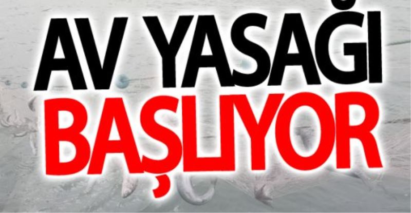 Van Balığı av yasağı yarın başlıyor