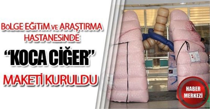 Van Bölge Eğitim Araştırma HastanesinDE “Koca Ciğer” Maketi Kuruldu