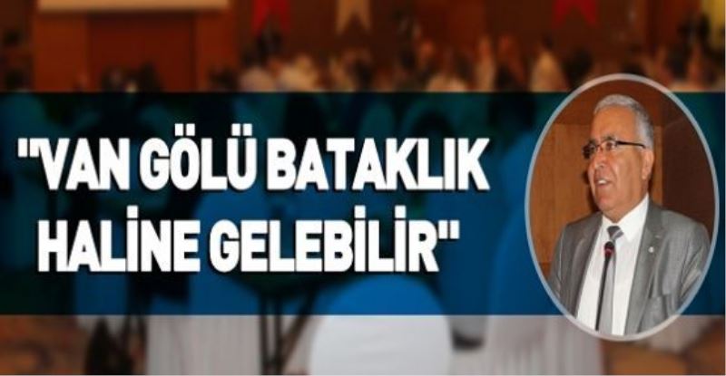 Van Gölü bataklık haline gelebilir