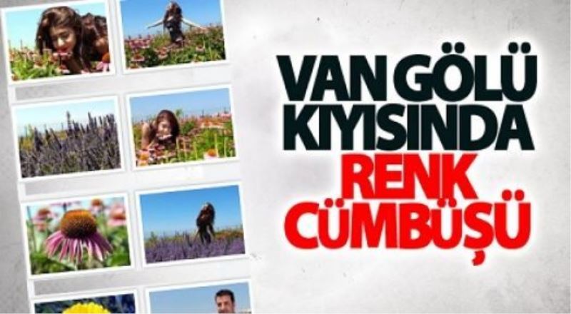 Van Gölü kıyısında 120 tür bitki yetiştiriliyor