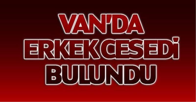 Van Gölü sahilinde bir ceset bulundu