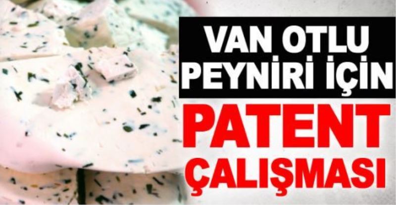 Van otlu peyniri için patent çalışması
