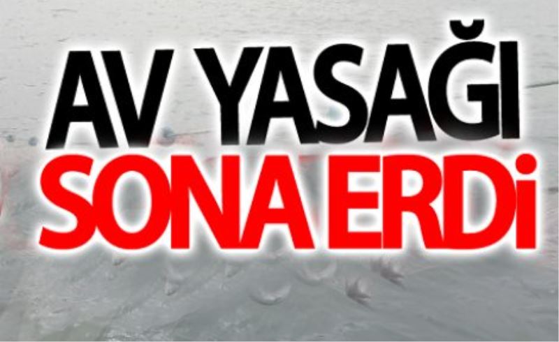 Van’da 3 aylık inci kefali av yasağı sonra erdi