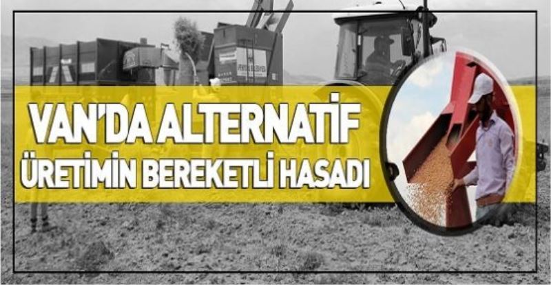 VİDEO HABER - Van’da alternatif üretimin bereketli hasadı