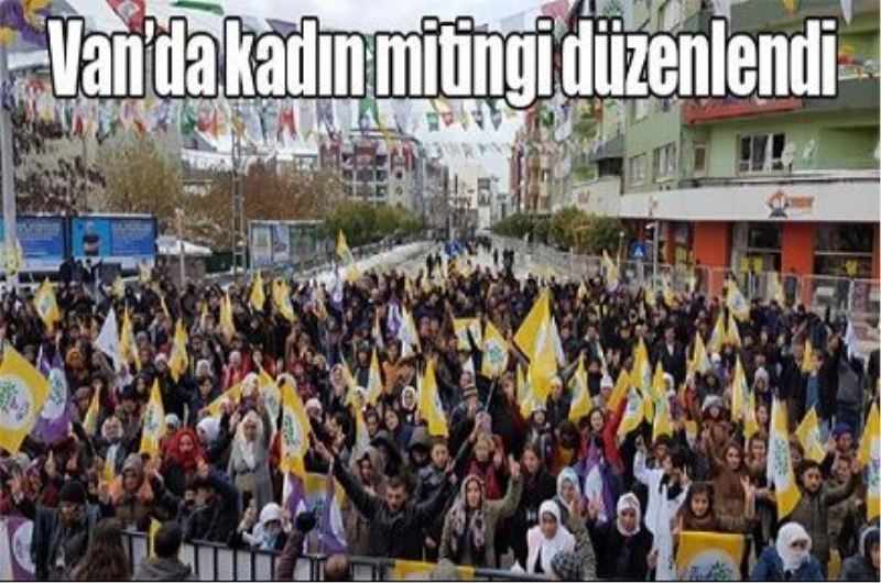 Van’da kadın mitingi düzenlendi