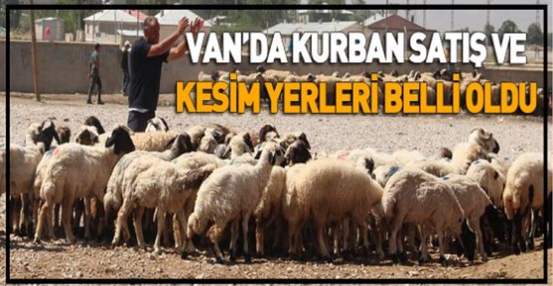 VAN’DA KURBAN SATIŞ VE KESİM YERLERİ BELLİ OLDU