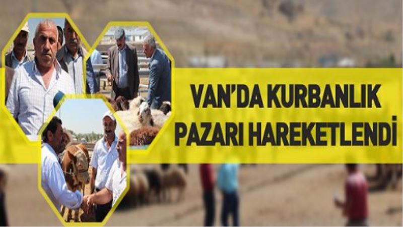 VİDEO İZLE-Van’da kurbanlık pazarı hareketlendi