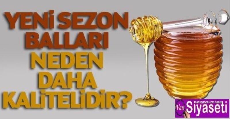 VİDEO HABERVan