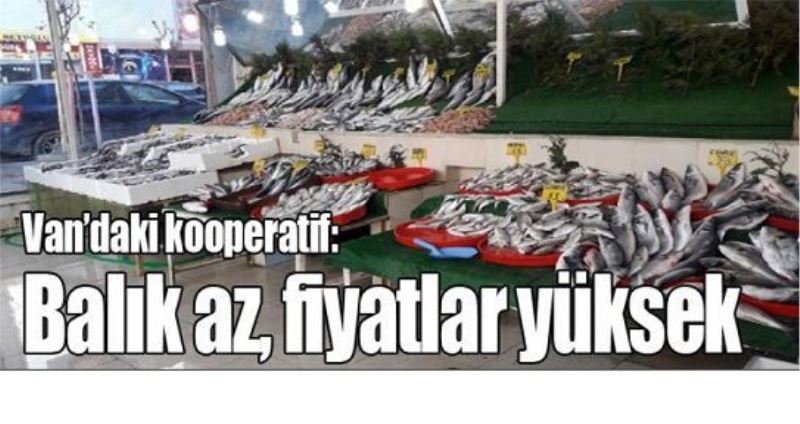 Van’daki kooperatif: Balık az, fiyatlar yüksek