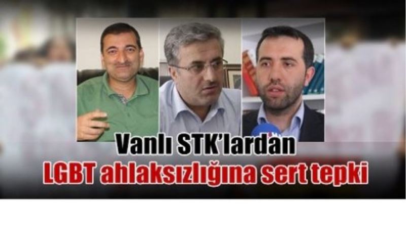 Vanlı STK