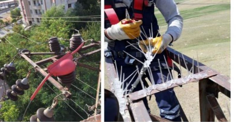 VEDAŞ’tan kuş ölümleriyle mücadele çalışması…