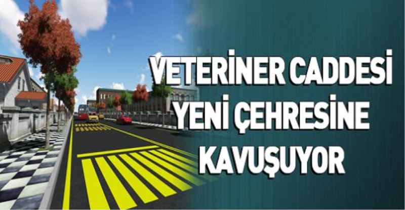 VETERİNER CADDESİ YENİ ÇEHRESİNE KAVUŞUYOR