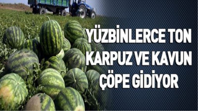 Yüzbinlerce ton karpuz ve kavun çöpe gidiyor