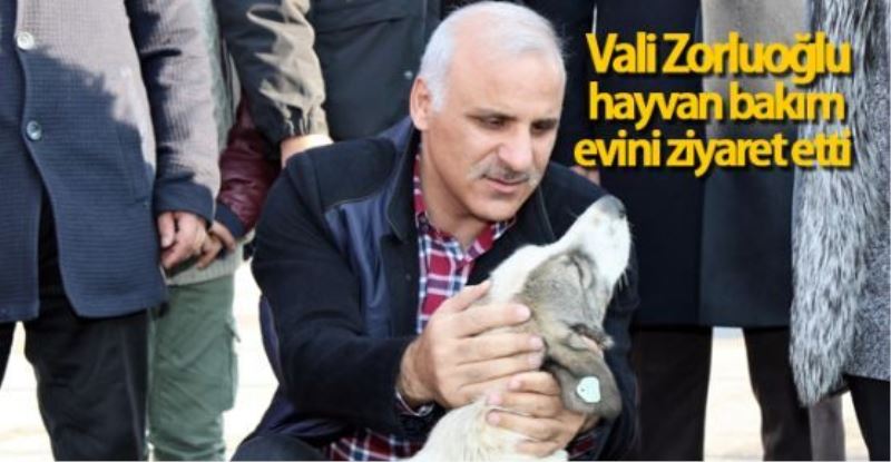 Zorluoğlu’ndan, hayvan bakım evine ziyaret...